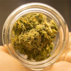 User uploaded image of Jack Flash