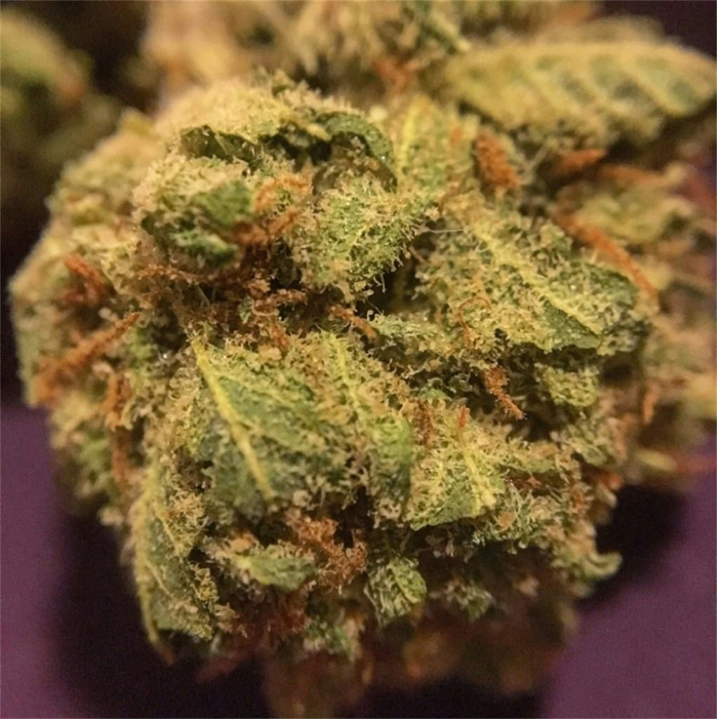 Jack Flash Weed Strain Information Leafly