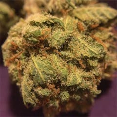 User uploaded image of Jack Flash