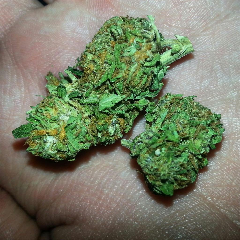 Photos of Jack Frost Weed Strain Buds Leafly