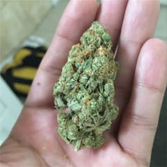 User uploaded image of Jack Frost