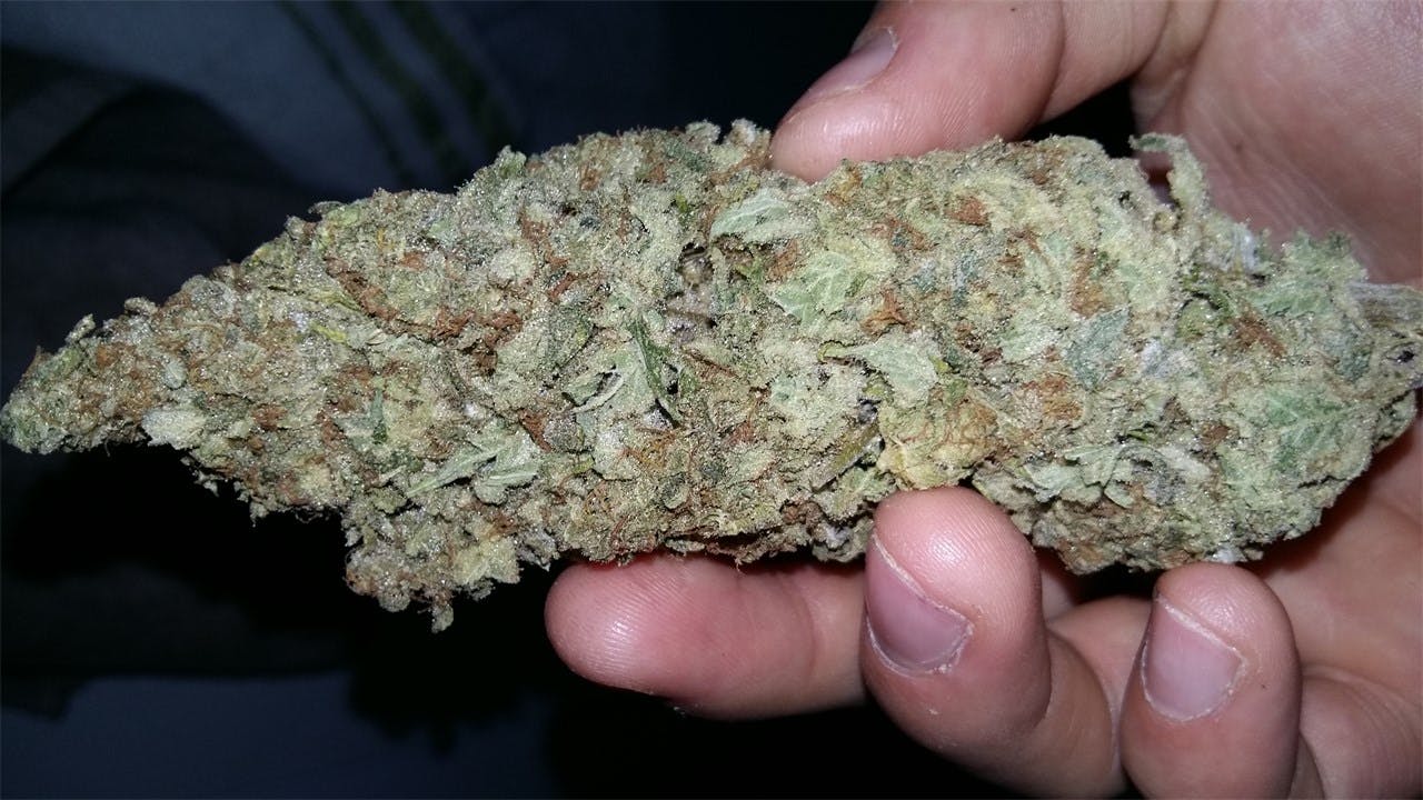 Photos of Jack Frost Weed Strain Buds Leafly