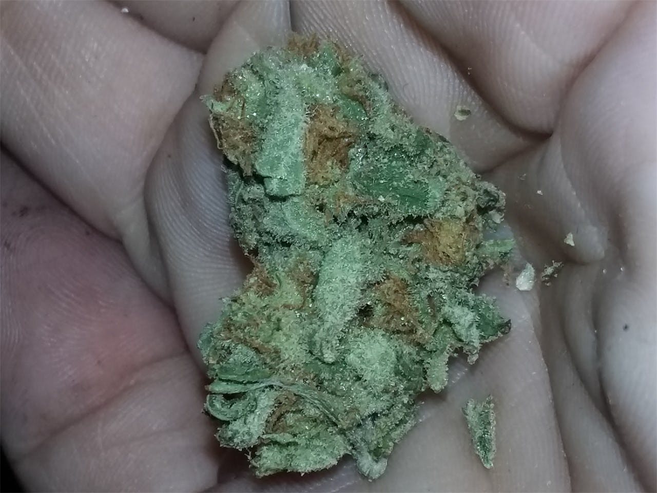 Photos of Jack Frost Weed Strain Buds Leafly