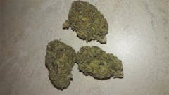 User uploaded image of Jack Frost