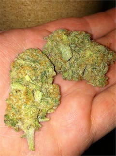 User uploaded image of Jack Haze
