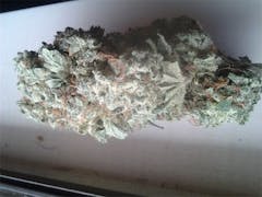 User uploaded image of Jack Haze