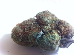 User uploaded image of Jack Haze