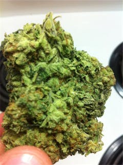 User uploaded image of Jack Haze