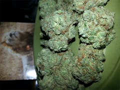 User uploaded image of Jack Haze