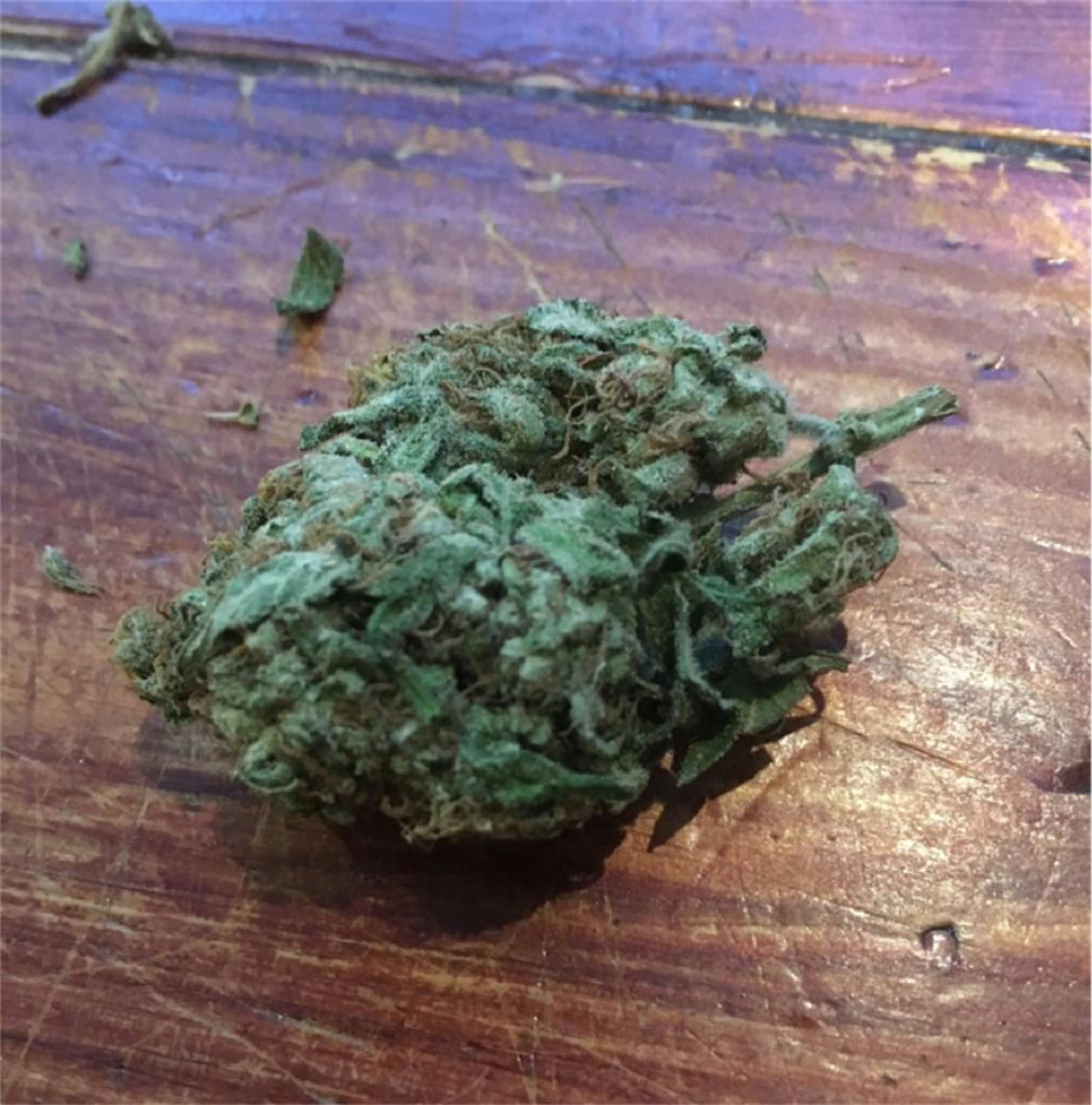 Photos of Jack Herer Weed Strain Buds Leafly