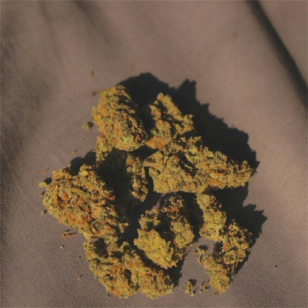 Jack Herer aka JH, The Jack, Premium Jack, Platinum Jack Weed Strain