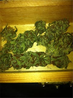 User uploaded image of Jack Kush