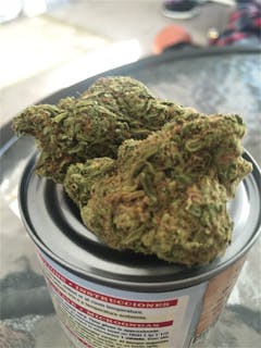 User uploaded image of Jack Kush