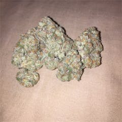 User uploaded image of Jack Kush