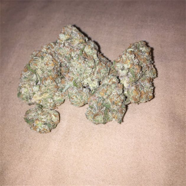 Photos of Jack Kush Weed Strain Buds Leafly