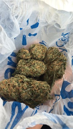 User uploaded image of Jack Kush