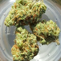 User uploaded image of Jack Skellington