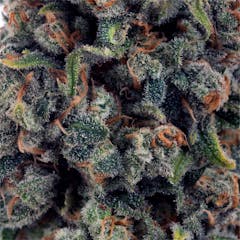 User uploaded image of Jack the Ripper