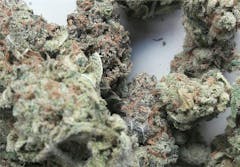 User uploaded image of Jack the Ripper