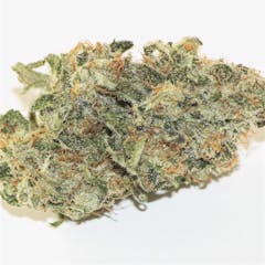 User uploaded image of Jack the Ripper