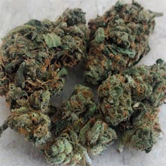 User uploaded image of Jack Wreck