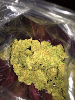 User uploaded image of Jackalope