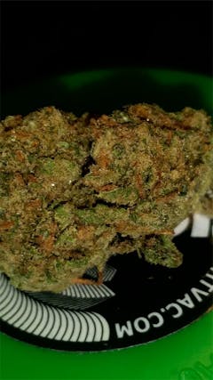 User uploaded image of Jackalope