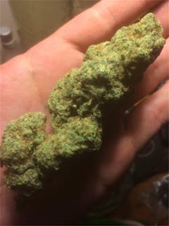 User uploaded image of Jacky White