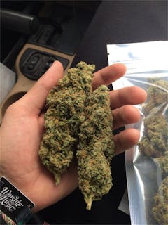User uploaded image of Jah Kush