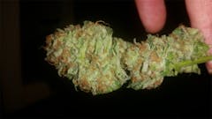 User uploaded image of Jah Kush