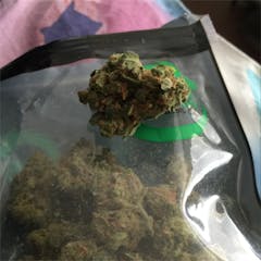User uploaded image of Jah Kush
