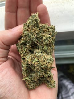 User uploaded image of Jah Kush