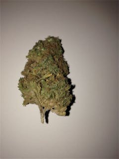 User uploaded image of Jamaican Dream