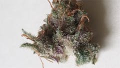 User uploaded image of Jamaican Dream