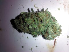 User uploaded image of Jamaican