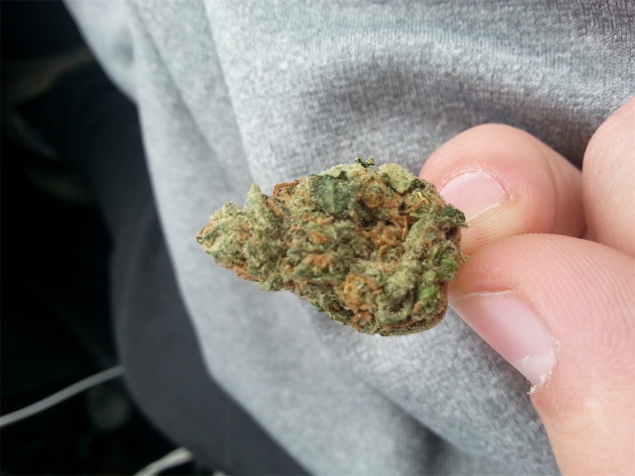 Photos of Jamaican Weed Strain Buds Leafly