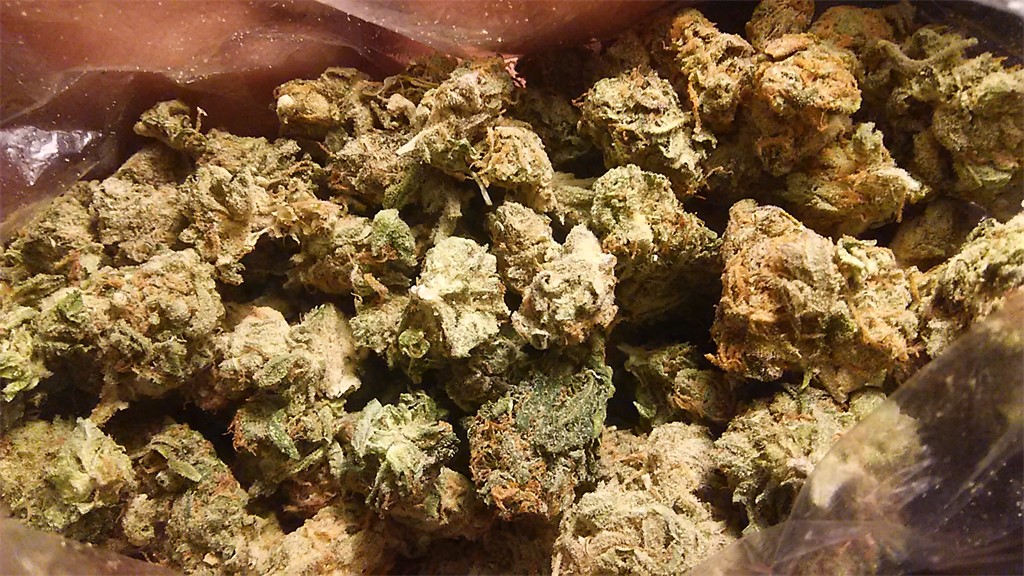 Photos Of Jamaican Weed Strain Buds | Leafly