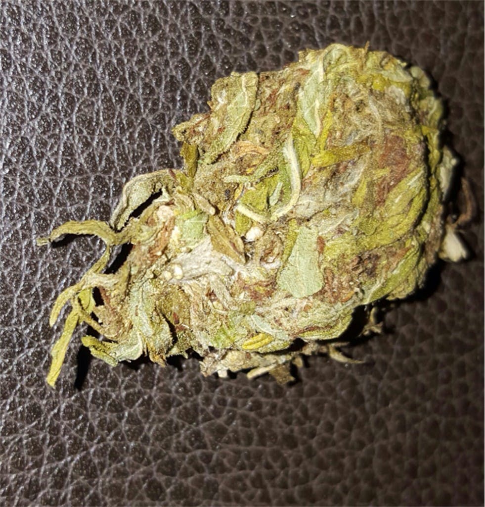 Jamaican Weed Strain Information Leafly