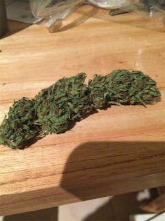 User uploaded image of Jamaican