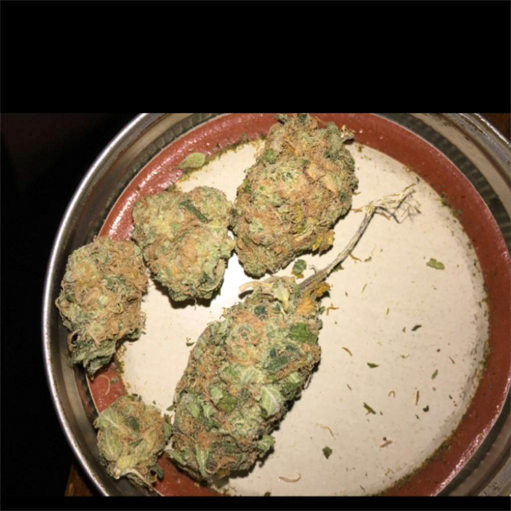 Jamaican Weed Strain Information Leafly