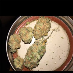 User uploaded image of Jamaican