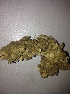 User uploaded image of Jamaican