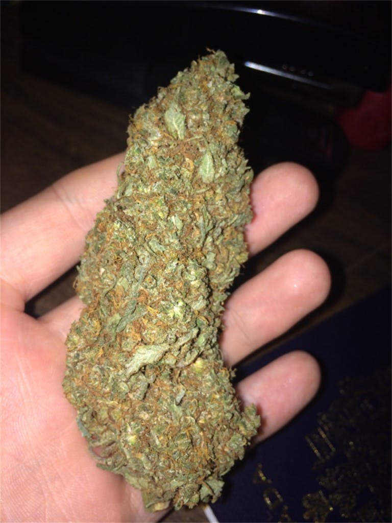 Photos of Jamaican Weed Strain Buds Leafly