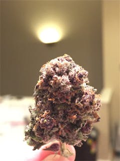 User uploaded image of Jamba Juice