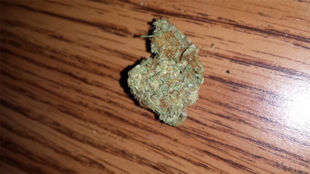 Photos of Jasmine Weed Strain Buds Leafly