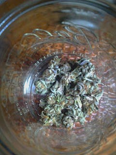 User uploaded image of Jasmine