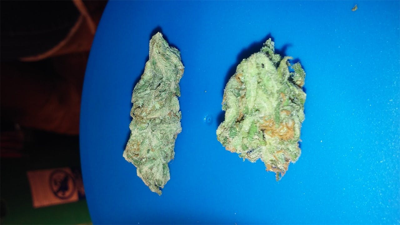 Jasmine aka Yasmin Weed Strain Information Leafly