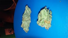 User uploaded image of Jasmine