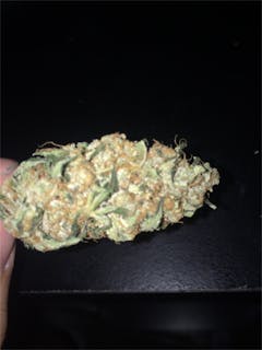 User uploaded image of Jasmine