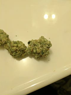 User uploaded image of Jazz